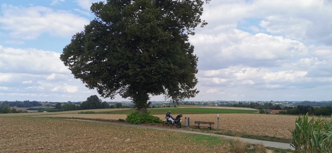  ﻿Proximité du moulin Molen ter hengst.